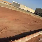 مشاتل تنسيق الحد ايق