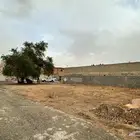 أرض سكنية في محافضة عنيزة في حي الفاخرية على شارعين للبيع
