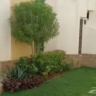 تنسيق حدائق