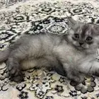 علاج للاكتئاب