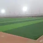 معلم انجيلا صناعي ملاغب كوره خدايق تركيب خشب صناعي ديكورات