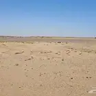 للبيع أرض في جوهرة العروس حي الفرقان السعر 250 الف صافي