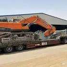 لوبد متواجد في الجوف على جميع أنحاء المملكة