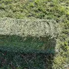 رشاش مزروع برسيم 7 ابراج للإيجار