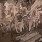 خشب اثل مقشر