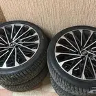 جنوط ازيرا 2024 حجم 20