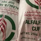 شركة باسفيك للبذور برسيم