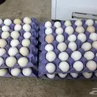 بيض بلدي