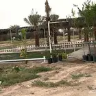 مزرعه للبيع