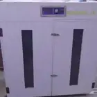 فقاسه تماتيك