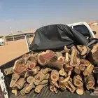 حطب كفو مستورد الموقع السليل