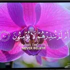 شاشة 65 بوصه