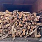 دنا البيع حوضين التواصل وتسب