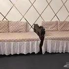 6 كراسي خشب