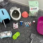 اغراض قطط للبيع