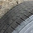 جنوط فتك سوبر سفاري 2019