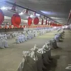 مطلوب حضاير دواجن للايجار لاحم