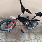 سيكل كوبرا