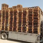 طبليات