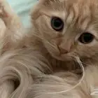 للبيع ب 550