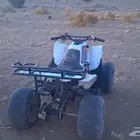 دباب سويدي