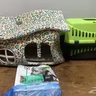 قط للبيع 150 شيرازي معه جميع اغراضه العمر شهرين