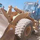 تيوفي