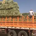 تيدر جوانب المطلق 16 متر