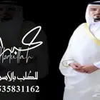 منشد شيلات شاعر جزل