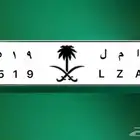 لوحه مميزه ا م ل 2519