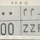 لوحة رمم 400
