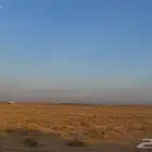 للبيع ارض زراعيه في غرب الداهنه بالوشم التابع لشقراء