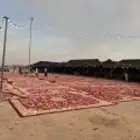 ليالي الحفلات والمناسبات قهوجين وصبابين المزاحمية