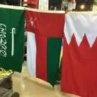 اعلام السعوديه جبردين