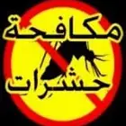 شركه رش مبيد الحشرات