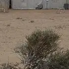 خيام للبيع