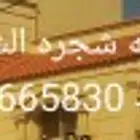 موسسه شجرة الشمال للقرميد
