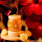 بخور مستكة مسقي جميع النكهات للطلب