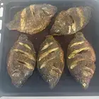 للبيع سمك بلطي بالجمله