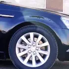 جنوط كابرس رويال