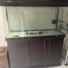 حوض سمك للبيع