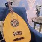 عود ثروت صابر الاب