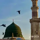 مطلوب شقة للإيجار غرفتين صالون بناء عوائل نظام البناء شقق