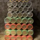 رولات المؤسسة