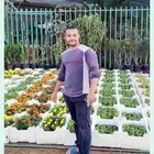 تنسيق حدائق. مع تركيب شبكت ري. مع زرع نخيل مع زرع تيل