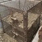 شبك دورين