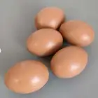 بيض دجاج صناعي