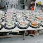 معمل لإنتاج الكيك والبقلاوة وباسعار التكلفة