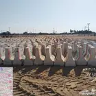حواجز خرسانية للبيع 700حاجز خرساني مستخدم مرة واحدة نظيف جدا