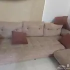 جلسه مستخدمه